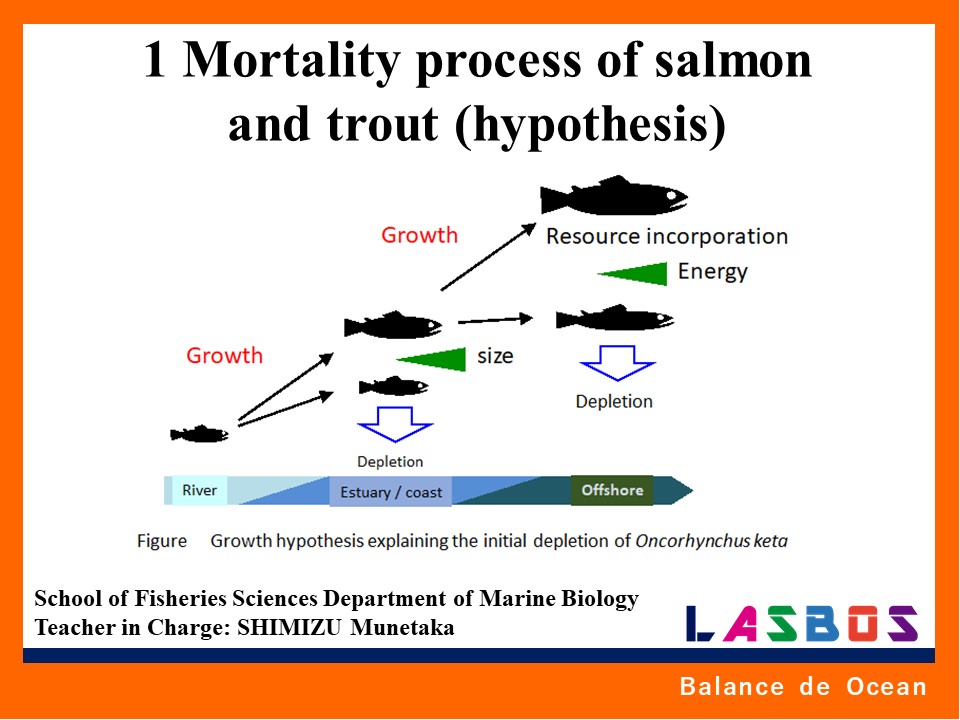 1 Mortality process of salmon and trout (hypothesis)
  