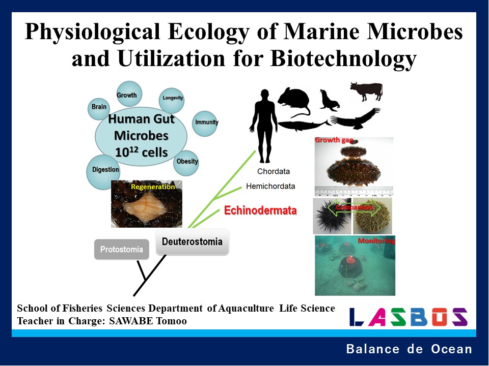 Physiological ecology of marine microbes and utilization for biotechnology
