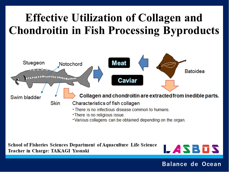 Effective Utilization of Collagen and Chondroitin in Fish Processing Byproducts
