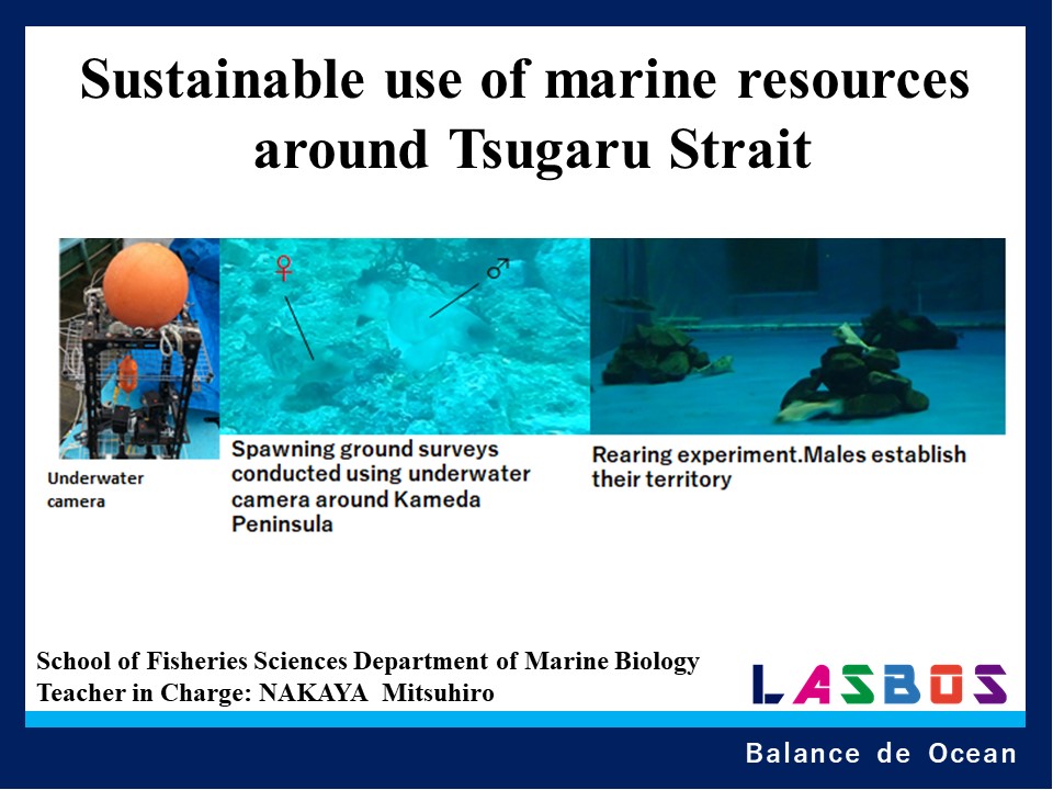 Sustainable use of marine resources around Tsugaru Strait
